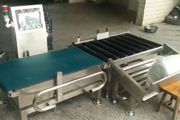 50KG滾筒式稱(chēng)重機自動(dòng)稱(chēng)重剔除測試