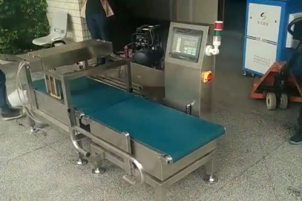 50KG皮帶式稱(chēng)重機自動(dòng)稱(chēng)重剔除測試