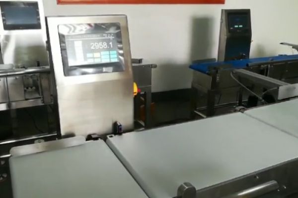 皮帶寬度500mm稱(chēng)重機重量不符測試視頻